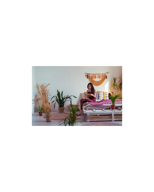 Plantas en la habitacion