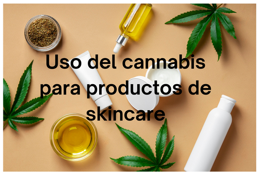 Uso y propiedades del cannabis en el skincare