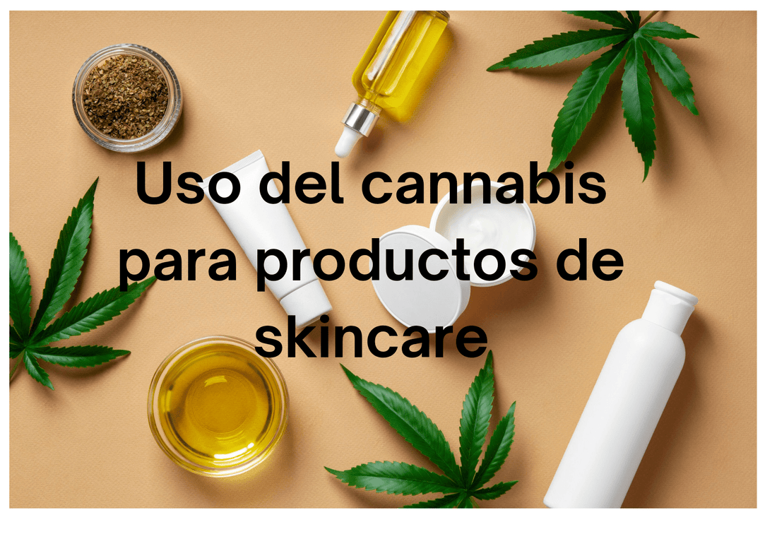 Uso y propiedades del cannabis en el skincare - Ideal Shop Colombia